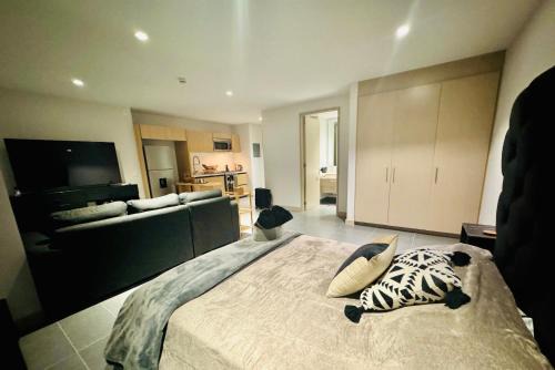 Anahuac Apartment | Polanco Loft México City
