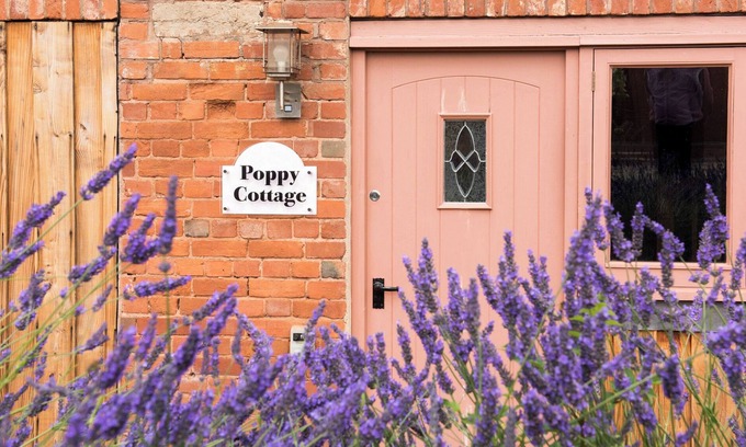 Bicton Cottage | POPPY COTTAGE, family friendly, with a garden in Aylesbeare