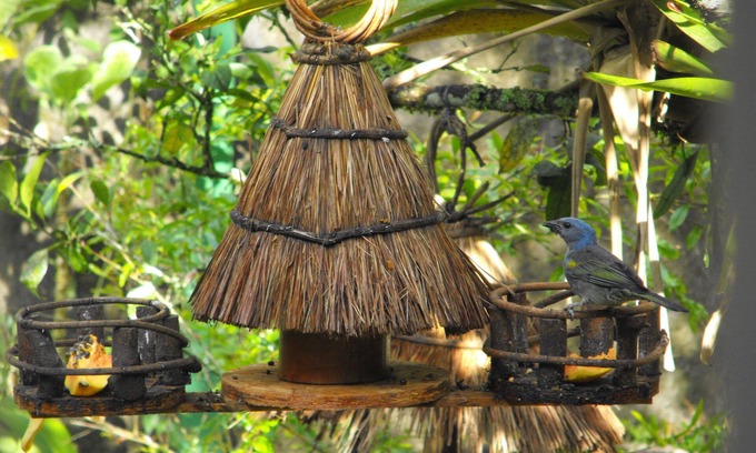 Teresopolis Hotel | Pousada Cascata dos Amores