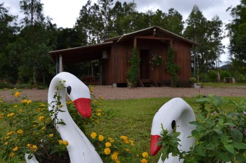 Timbe do Sul House | Pousada dos Sonhos - Timbé do Sul