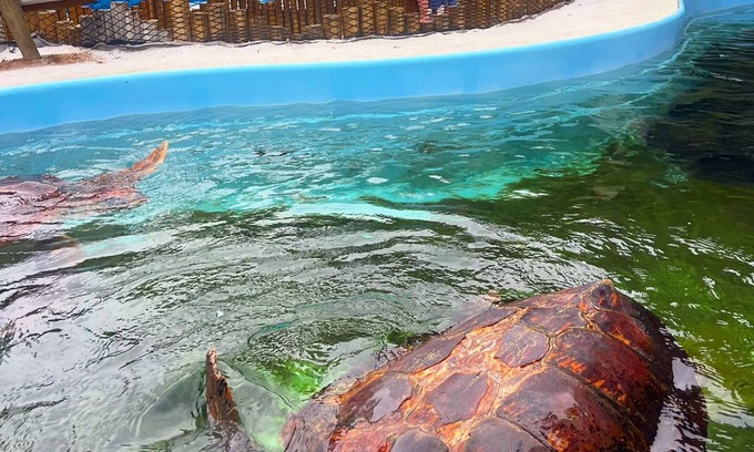 Acarau Hotel | Pousada Margerie Ubatuba - Itagua