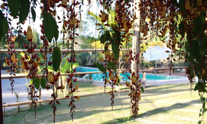 Sao Joao da Boa Vista House | Pousada Recanto da Estação