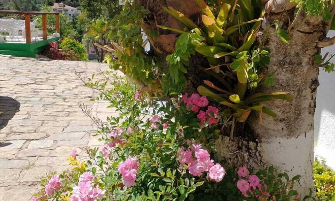 Nogueira Hotel | Pousada Sítio Sossego