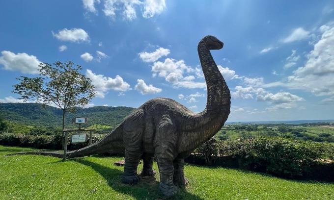 Sao Pedro Hotel | Pousada Vale do Dinossauro