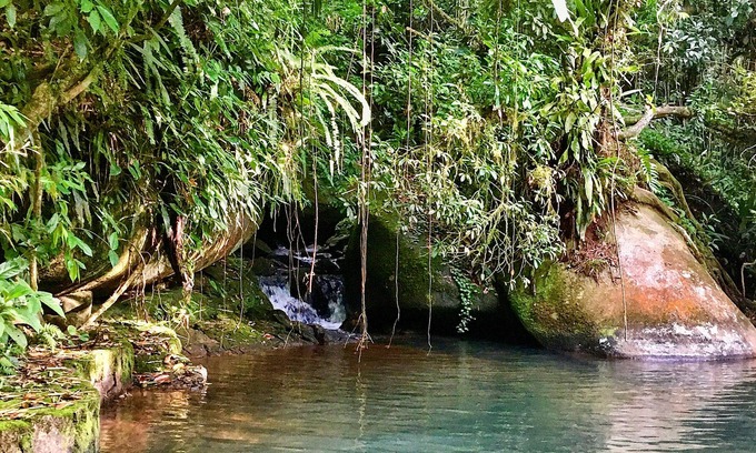 Paraty Cottage | Pouso da Mata country house