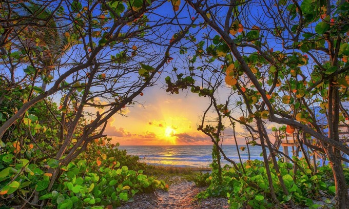 Bella Vista Condo | Practically on the beach; short walk across Carlin Park to the sand! ❤️💛💚