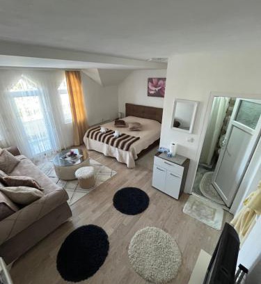 Sjenica Apartment | Prenoćište Delija 020