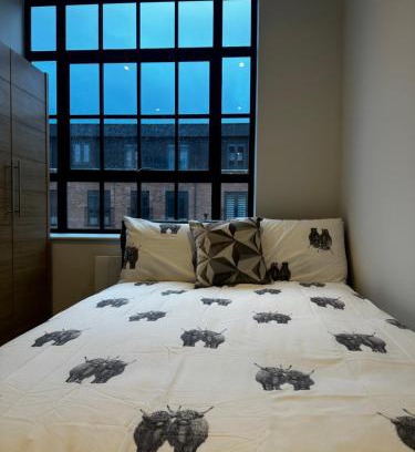 Northampton House | Prestige room