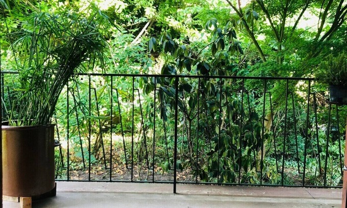 Bischwiller House | Pretty, spacious gite surrounded by greenery