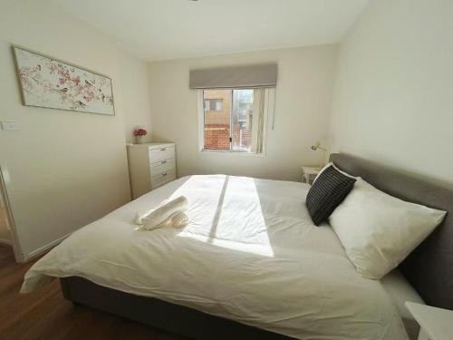 Bruce Apartment | Prime Location 1BR Apt in Bruce pets friendly