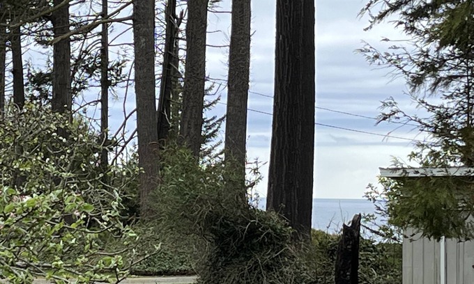 Sequim House | Private Beach Access on private trail offers Seclusion, comfort and intimacy.