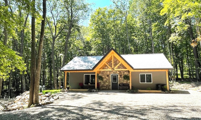 Pickerel Cabin | Private Cozy Luxury Cabin in Woods across from Lake, UTV trails - Pet Friendly