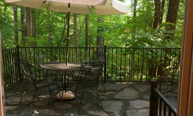 Boonsboro Apartment | Private Hillside Terrace Apartment with Stone Patio Overlooking Woods