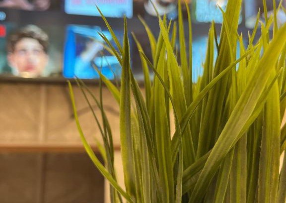 Palestine Street Apartment | Private Studio- Alhamra Corniche- Self Checkin