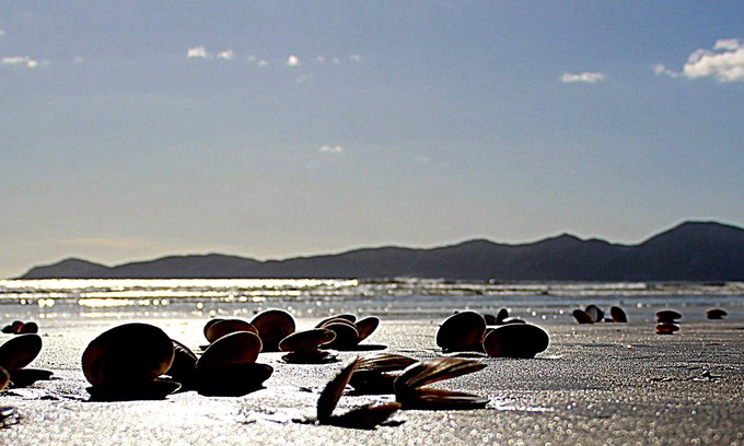 Raumati South Apartment | Private studio near the sea-1 minute walk to the beach