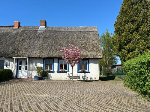 Garz House | Privatunterkunft, ganzes Fischerhäuschen in Garz bei Kayser`s