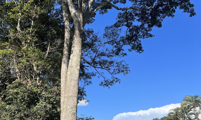 Ibiuna House | Procurando Tranquilidade e Diversão? Nós Temos Ambiente Natural e Aconchegante