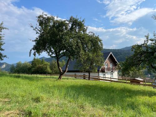 Kroscienko nad Dunajcem House | Przystanek 470