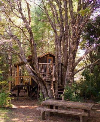 Pucon Hotel | Pucón Volcano Forest SPA