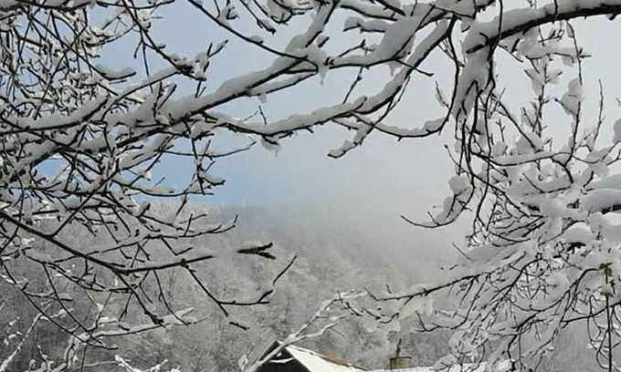 Janowice Wielkie Other | Pure Poland, enjoying freedom and carefree country life