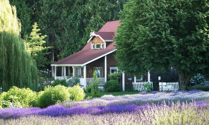 Sequim House | Purple Haze Lavender Farm