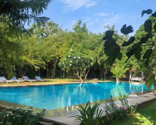 Pushkar Resort | PushkarOrganic - Lux farm resort with pool