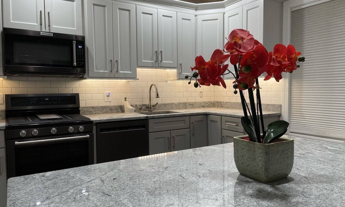 Worcester Apartment | Quiet, Brand New 2BR Apartment near Hospitals!