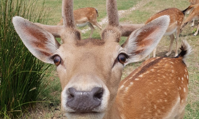 Sargacal Other | Quinta das origens - Balance studio