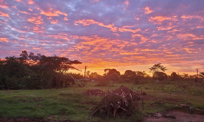 Acacias Apartment | Quinta el Kiosko