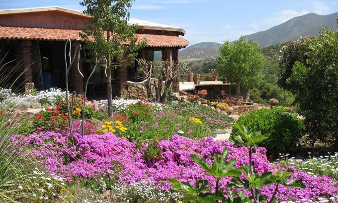 San Antonio de las Minas Bed & Breakfast | Quinta Maria en la Ruta del Vino