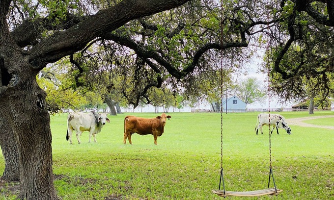 Fayetteville House | Radish Row, A Place to Stay (Extended Stay Discounts)