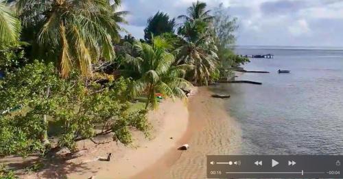 Teahupoo House | RAIATEA - The BEACH HOUSE - plage sur le lagon !