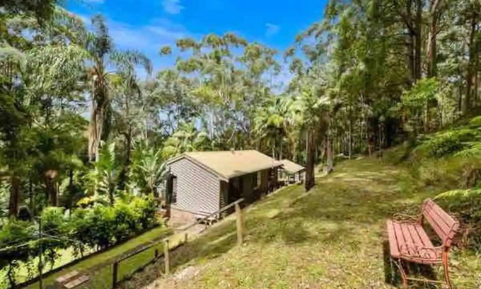Central Coast House | Rainforest Retreat Set on 5 acres of rainforest.