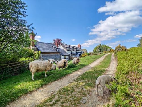 Aymestrey House | Ramblers Rest
