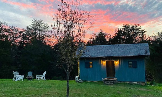 Scottsville Apartment | Rare Find: Private Animal Sanctuary & Tiny Cottage