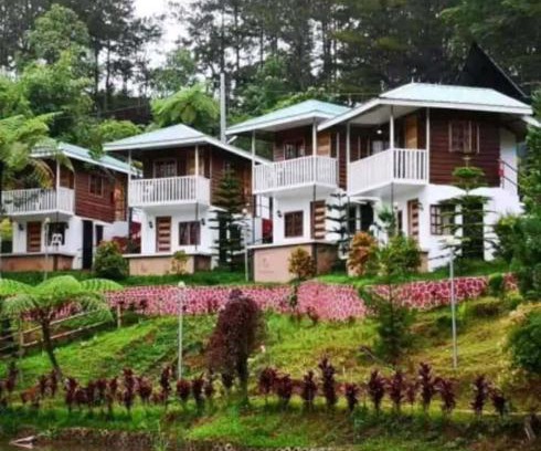 Arakan House | Reel Place
