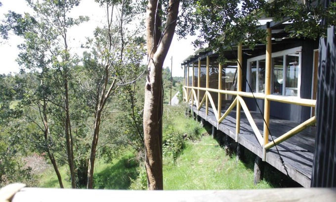 Quemchi Apartment | Refugio Familiar en los hermosos bosques de Aucar, Chiloé