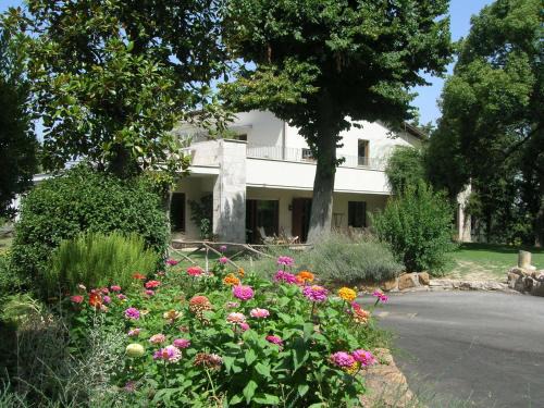 Camilluccia House | Relais La Canfora