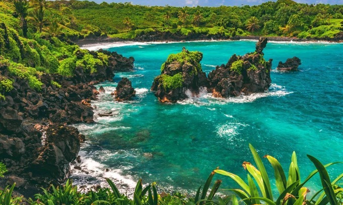 Kahului House | Relax and Recharge! 4 Relaxing and Clean Units, Outdoor Pool