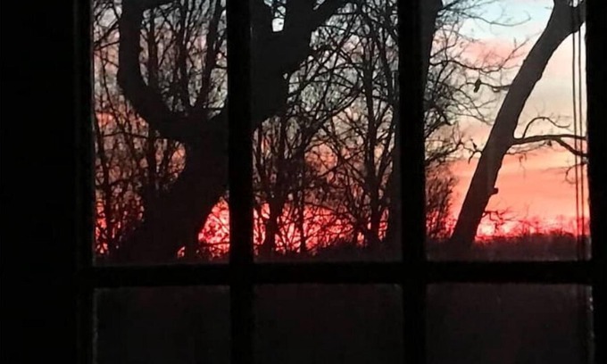 Cuba Cabin | Relax in the Ozark woods at a quiet nature retreat with a private walking trail.