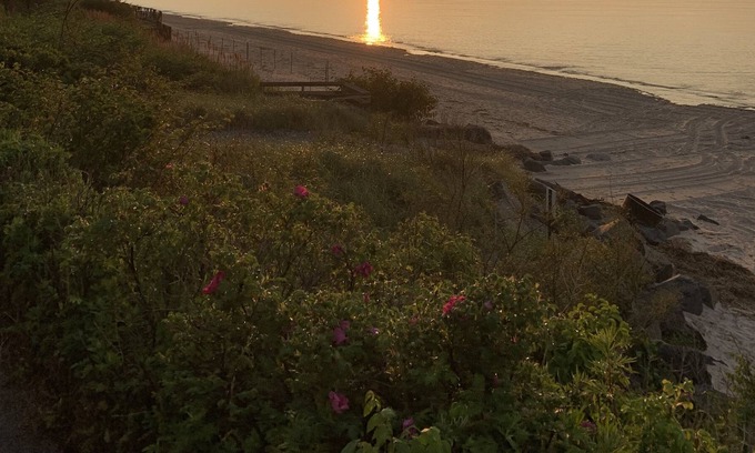 Shoreham House | Relaxing Beach Front with deck and fire pit perfect for the family