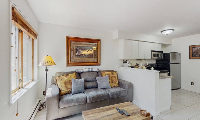 Four O'Clock Condo | Renovated Ski-in Dog-Friendly condo – Walk to Main Street!