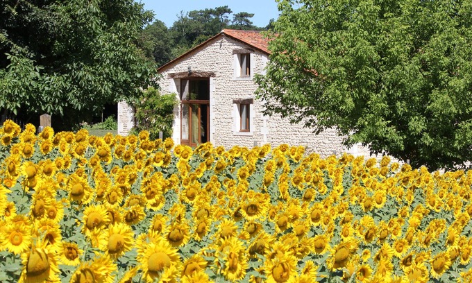 Bessac House | Renovated Stone Barn With Private Pool And Superb Views
