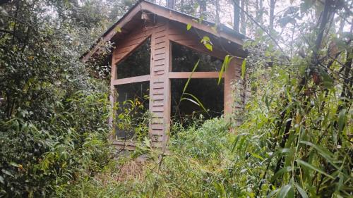 Pucon Cabin | Reserva Nido del Chucao