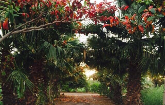 Sharjah House | Revaloo farm (Family Only)