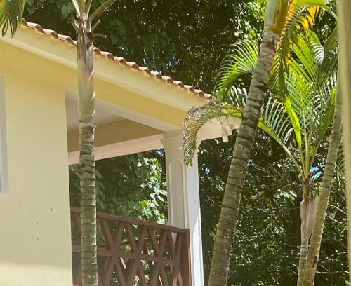 Puerto Bahia House | Riomar primer nivel