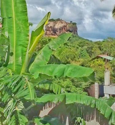 Sigiriya House | Rithu Homestay