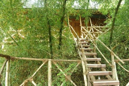 Masinagudi Resort | River Valley Resort