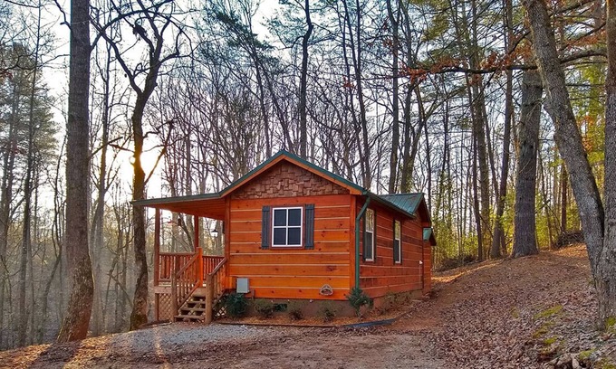 Franklin Cabin | Robin Cabin - Big Bear Cabin Rentals 2 Bedroom/1 Bath Vacation Rental