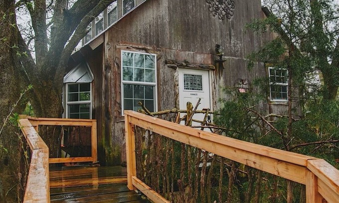 Celeste Bed & Breakfast | Romantic getaway in the trees. Enjoy your stay in a majestic oak treehouse